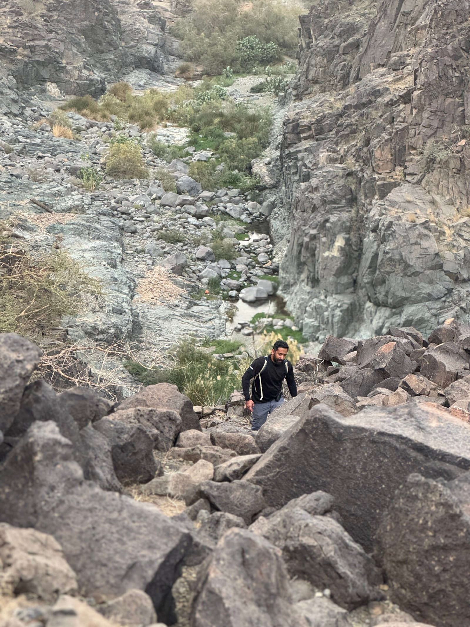 الجوهرة المخفية