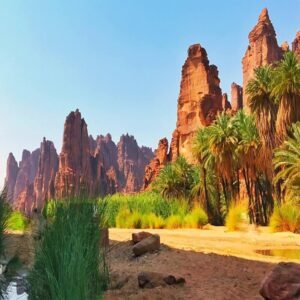 رحلة تبوك – سفاري بطابع مختلف